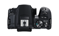 Canon EOS 250D Kit EF-S 18-55mm f/4-5.6 DC III Black
