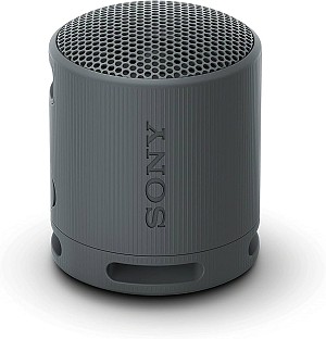 Sony SRS-XB100 black